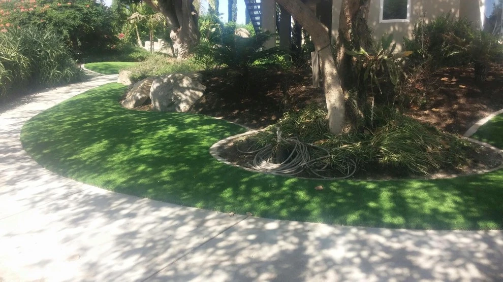Save Pro Turf - Photo 2
