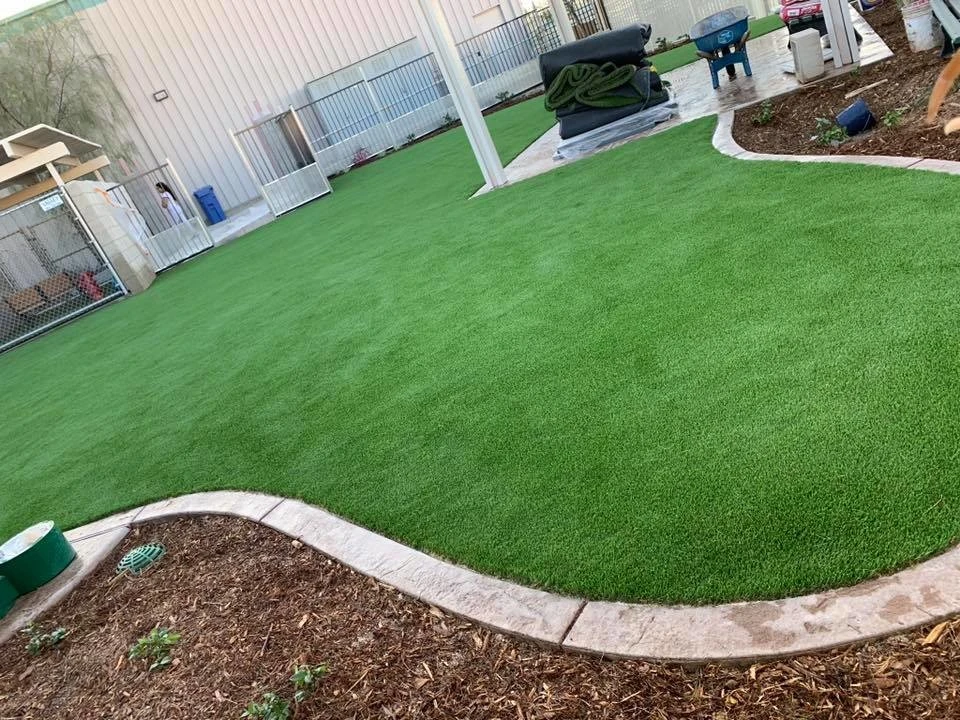 Corona - Corona Animal Shelter by Save Pro Turf - Photo 5