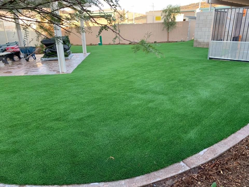 Corona - Corona Animal Shelter by Save Pro Turf - Photo 3