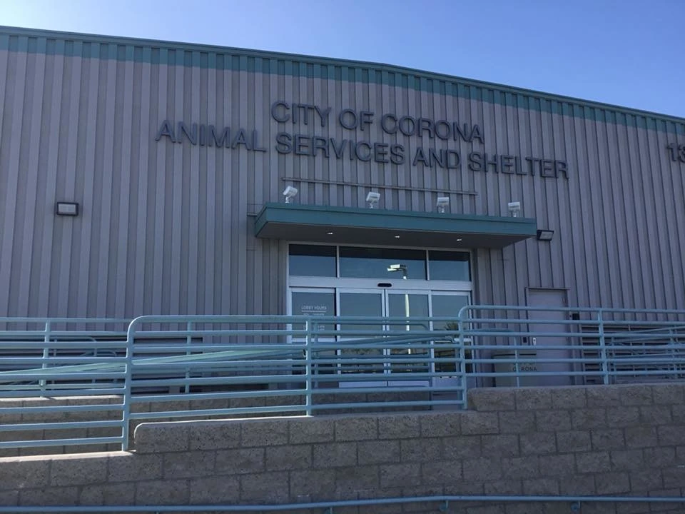 Corona - Corona Animal Shelter by Save Pro Turf - Photo 2