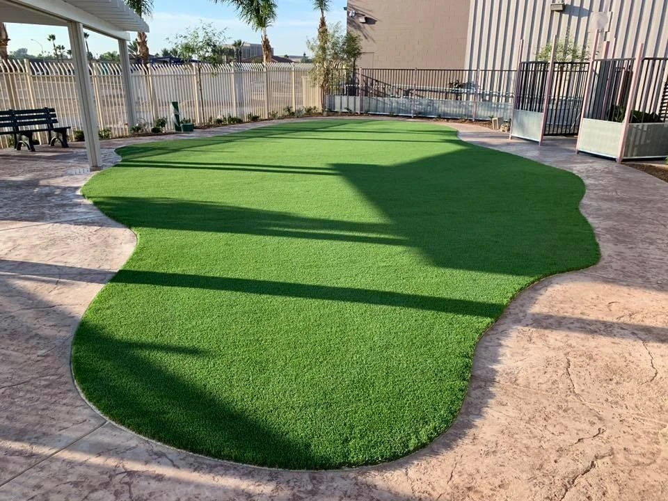 Corona - Corona Animal Shelter by Save Pro Turf - Photo 8