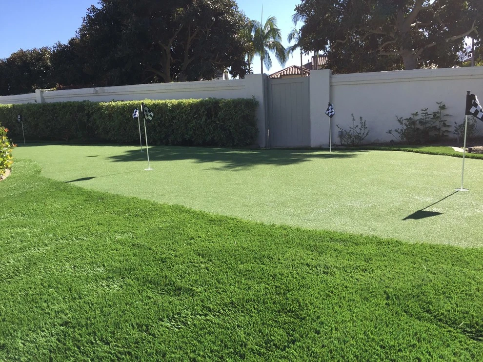 Wildomar - Limerick by Save Pro Turf - Photo 5