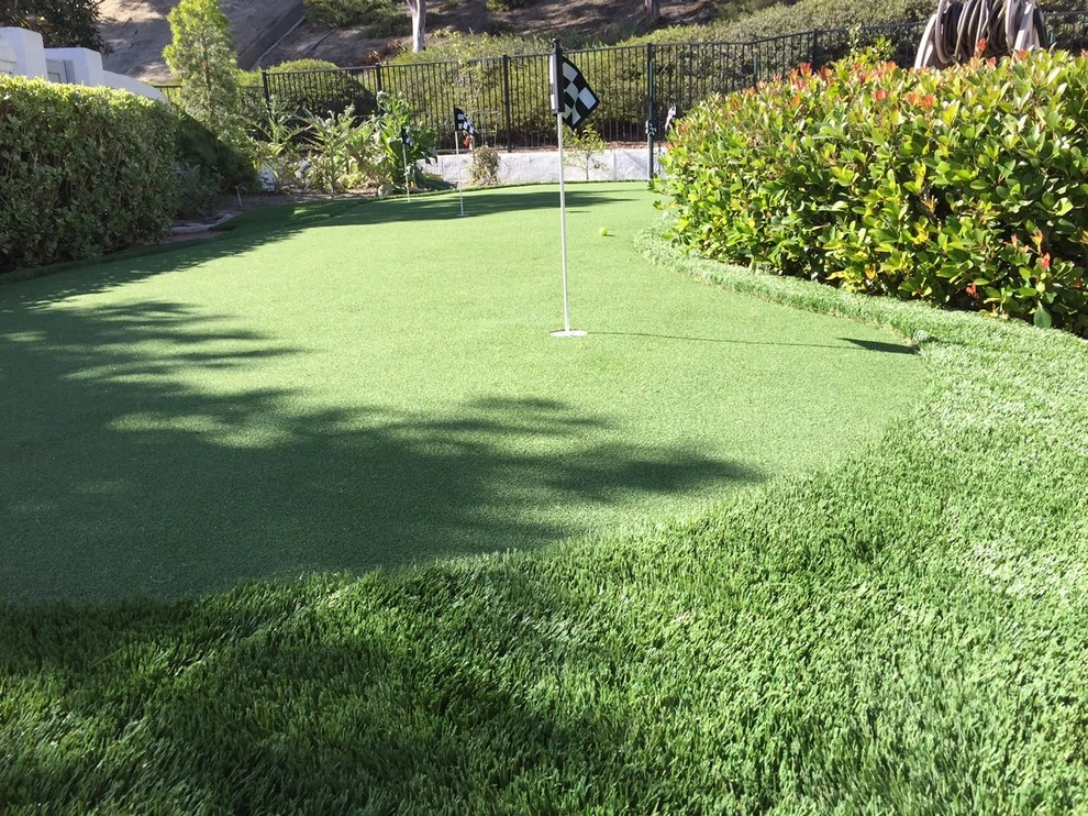 Wildomar - Limerick by Save Pro Turf - Photo 4