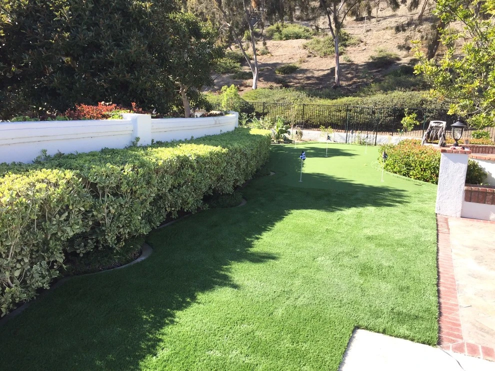 Wildomar - Limerick by Save Pro Turf - Photo 2