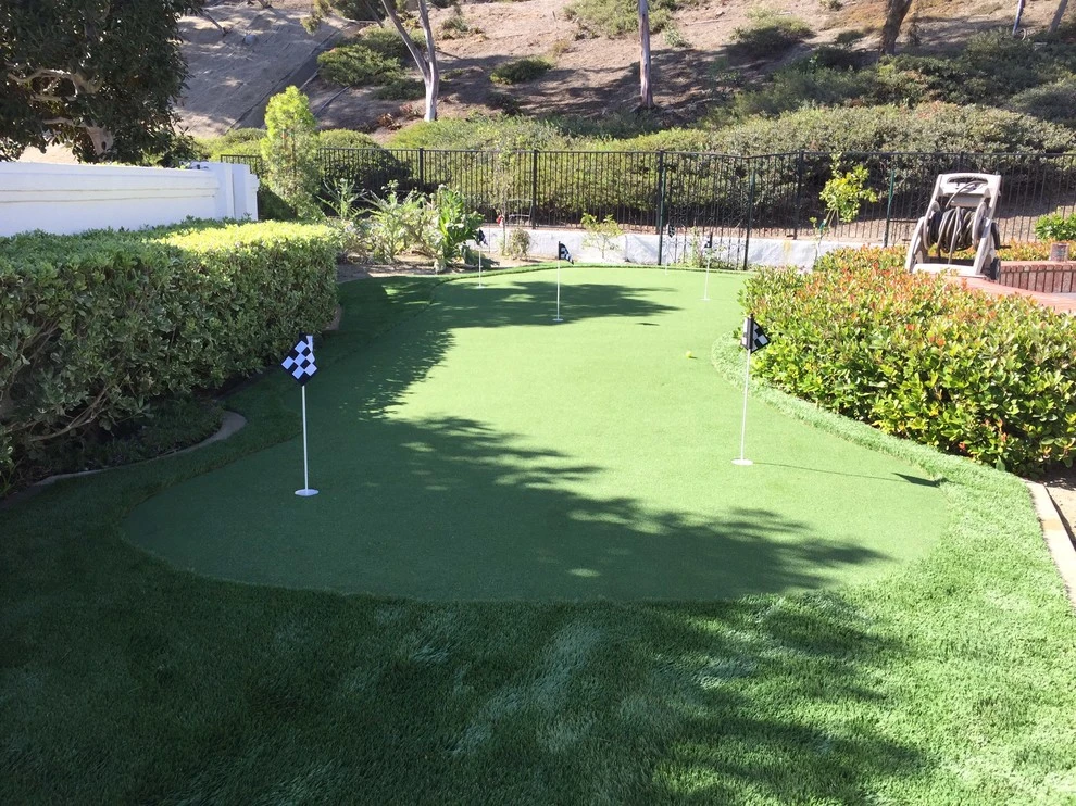 Wildomar - Limerick by Save Pro Turf - Photo 3