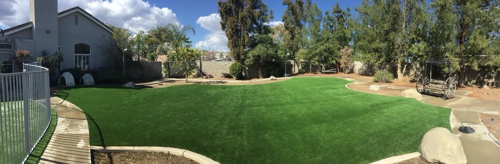 Corona - Spring Meadows Drive by Save Pro Turf - Photo 3