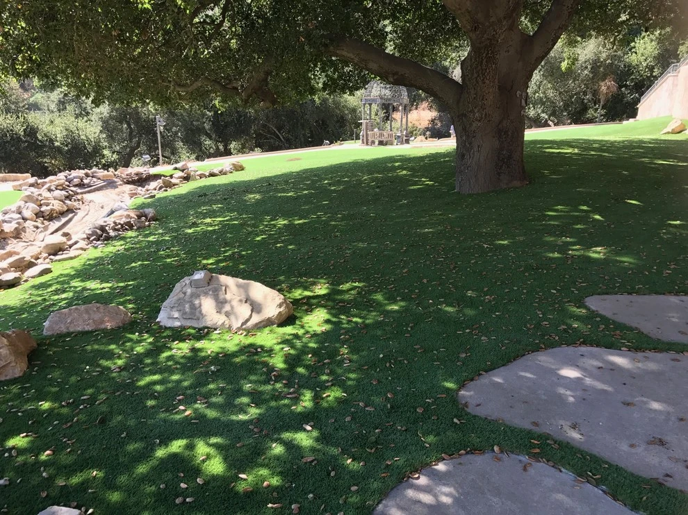 Chino Hills - Esquilime Drive by Save Pro Turf - Photo 3
