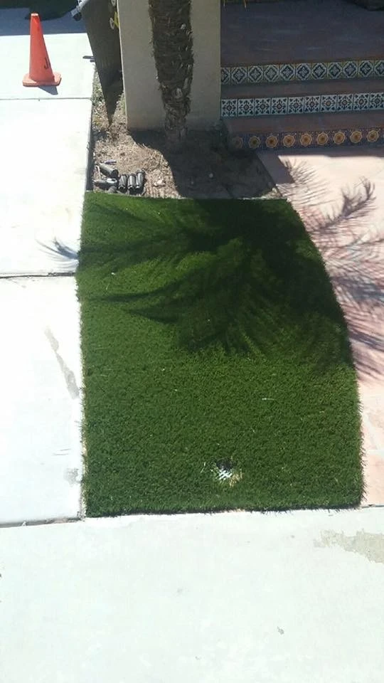 San Marcos - Dove Tail Drive by Save Pro Turf - Photo 2