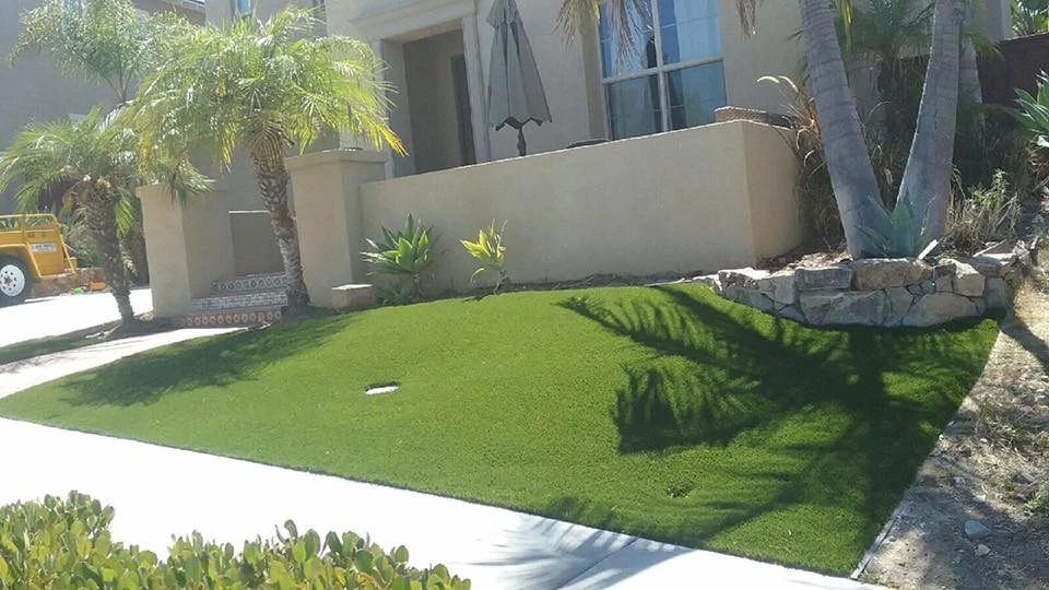 San Marcos - Dove Tail Drive by Save Pro Turf - Photo 6