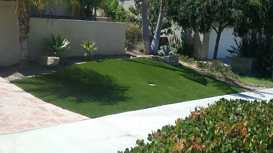 San Marcos - Dove Tail Drive by Save Pro Turf - Photo 5