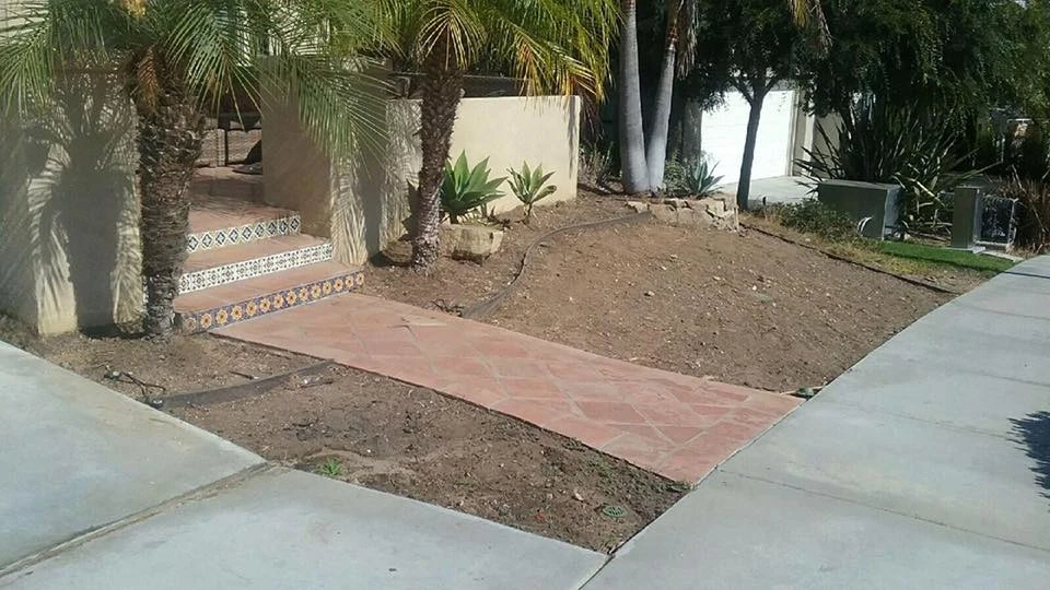 San Marcos - Dove Tail Drive by Save Pro Turf - Photo 4
