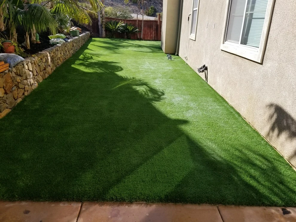 Save Pro Turf - Photo 10