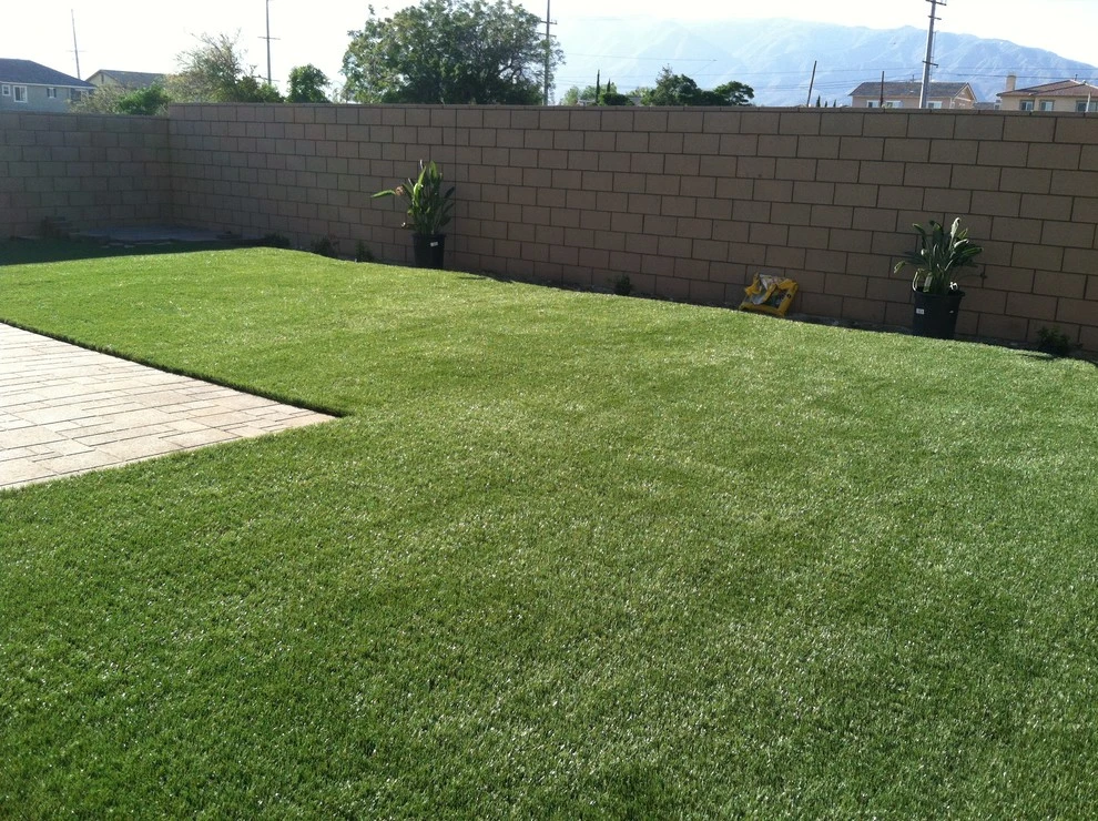 Moreno Valley - Carmine Street by Save Pro Turf - Photo 6