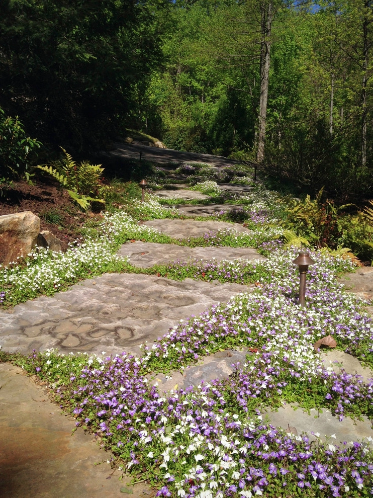Multilevel Mountain Garden - Cliffs at Glassy by DabneyCollins - Photo 9