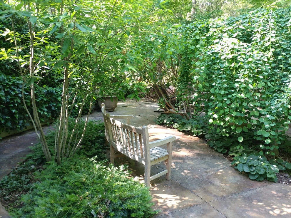 Intown Oasis by DabneyCollins - Photo 13