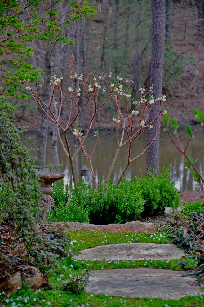 Woodland Garden - Easley, SC by DabneyCollins - Photo 5