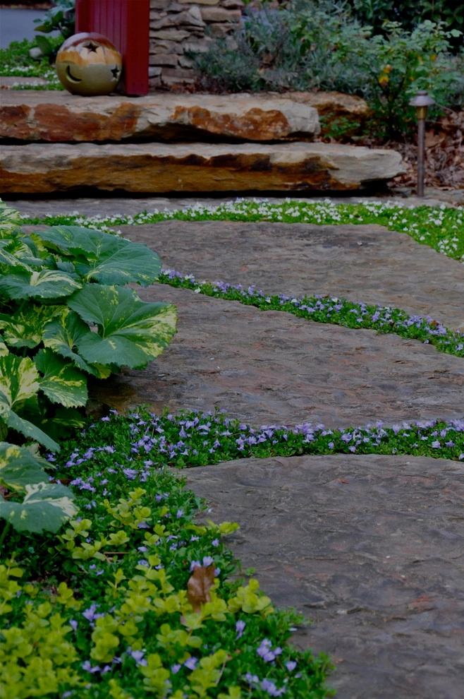 Woodland Garden - Easley, SC by DabneyCollins - Photo 6