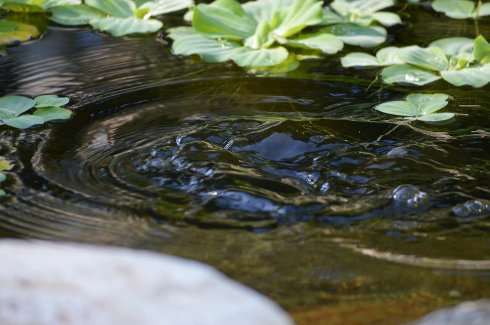Omaha water features by Scott Designs - Hardscapes And Water Features - Photo 41