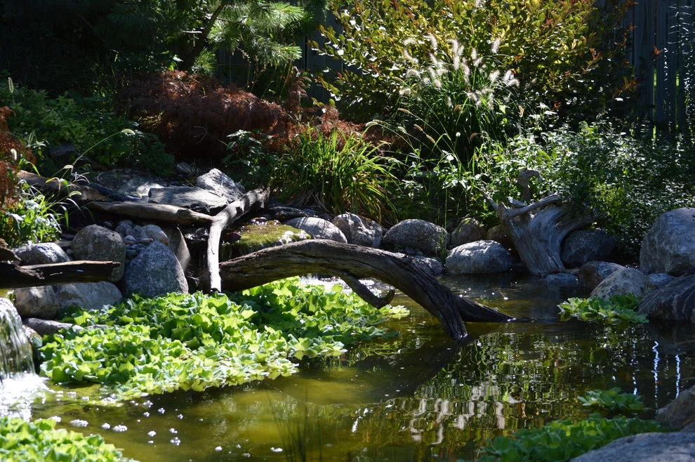 Scott Designs - Hardscapes And Water Features - Photo 13