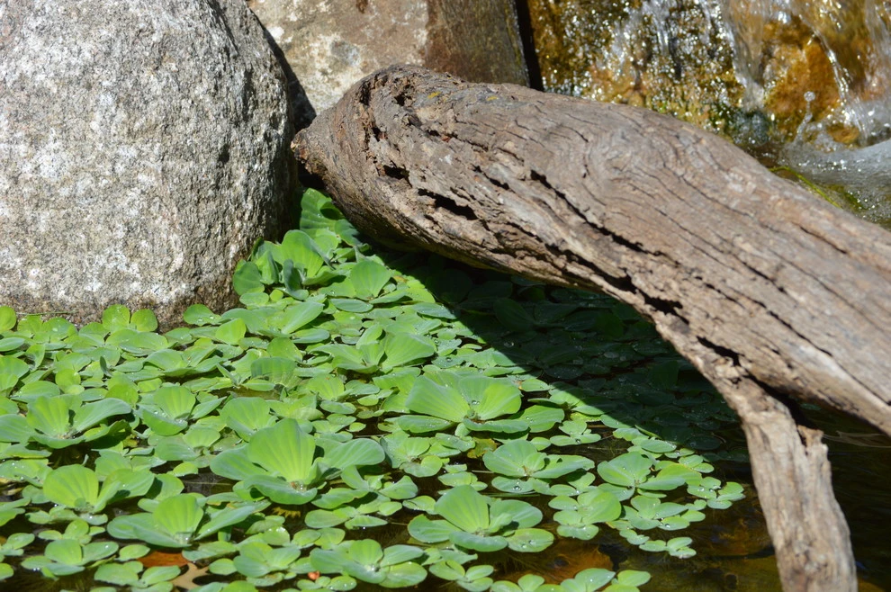 Omaha water features by Scott Designs - Hardscapes And Water Features - Photo 35