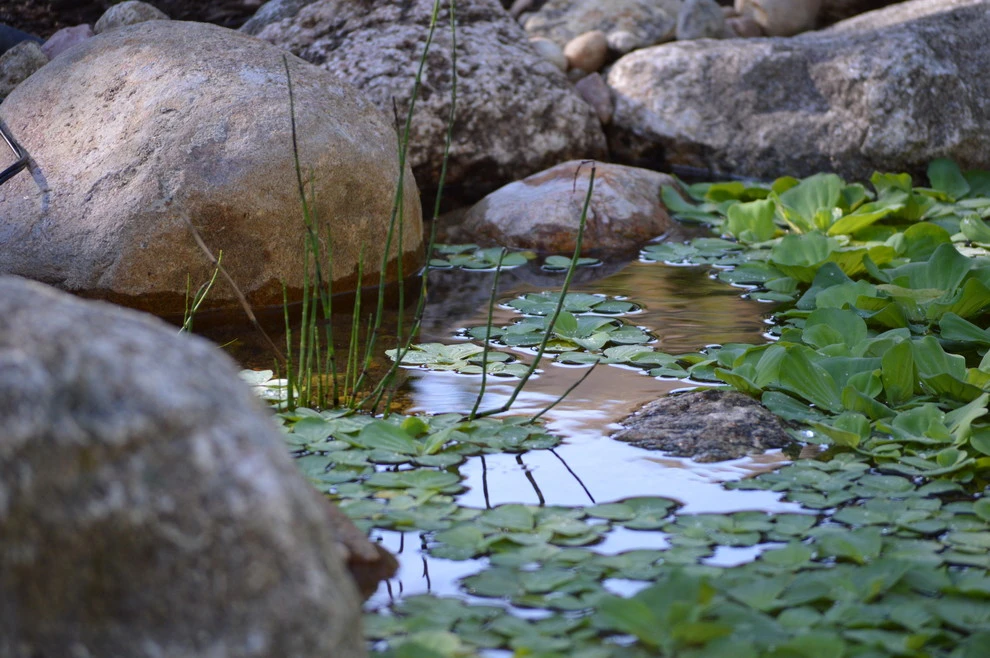 Omaha water features by Scott Designs - Hardscapes And Water Features - Photo 16