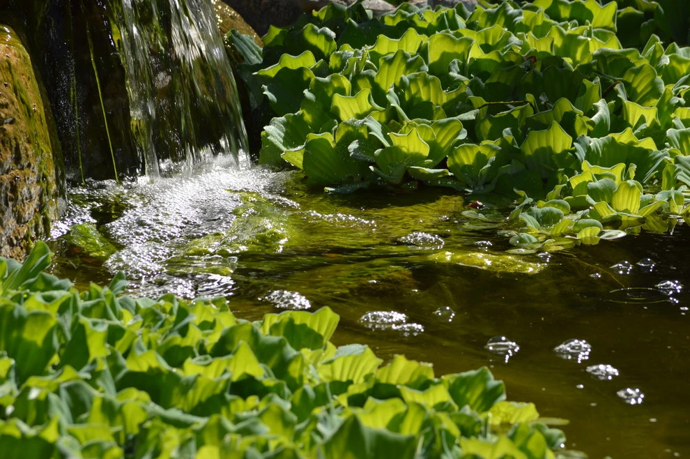 Omaha water features by Scott Designs - Hardscapes And Water Features - Photo 49
