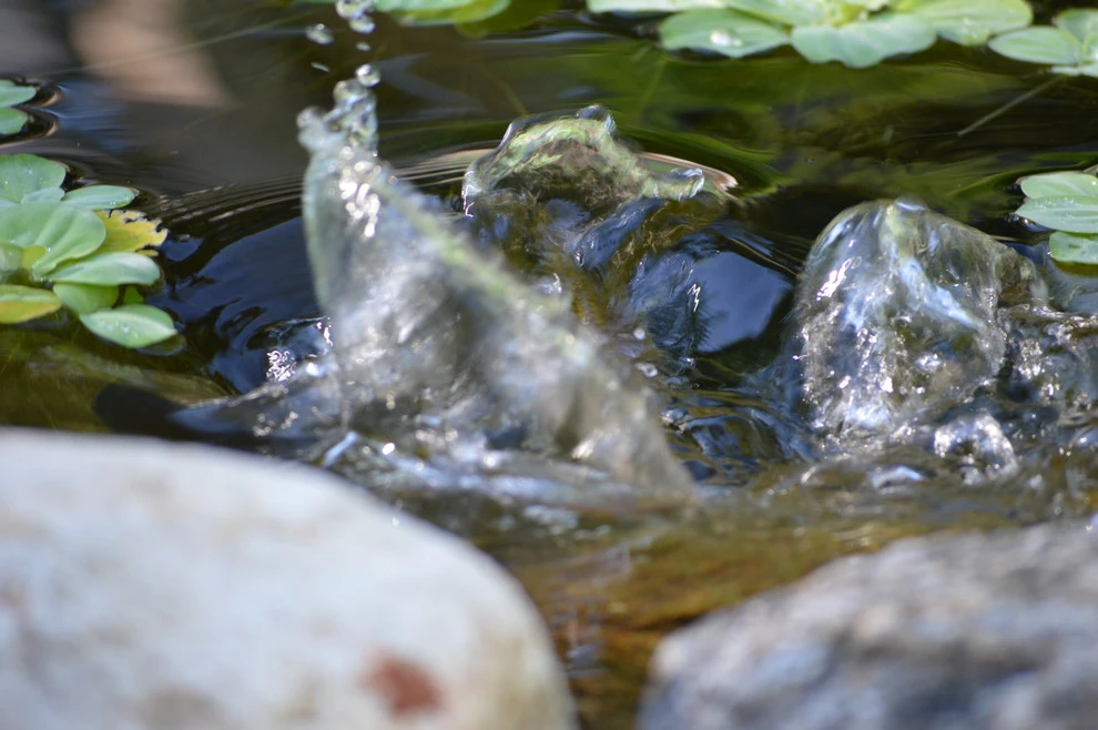 Omaha water features by Scott Designs - Hardscapes And Water Features - Photo 21