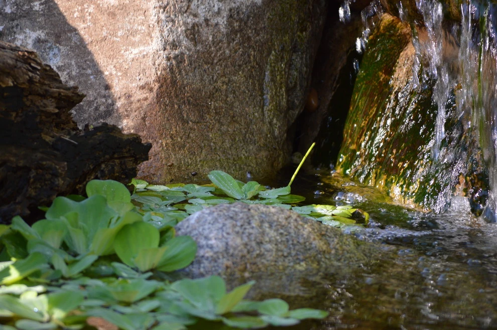Omaha water features by Scott Designs - Hardscapes And Water Features - Photo 58