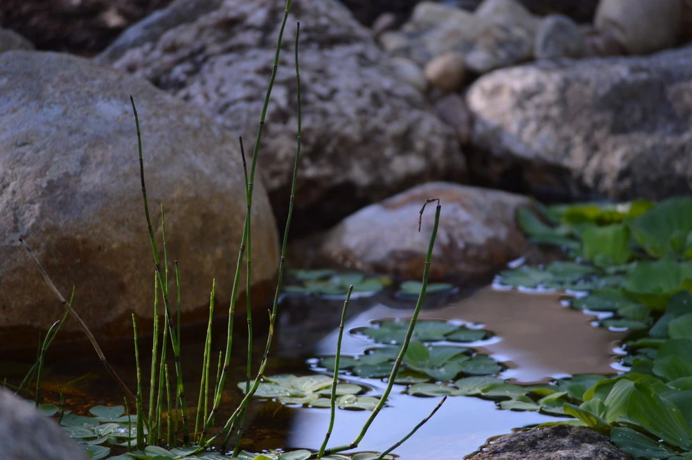 Omaha water features by Scott Designs - Hardscapes And Water Features - Photo 30