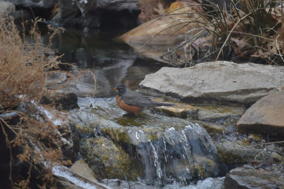 Omaha water features by Scott Designs - Hardscapes And Water Features - Photo 18