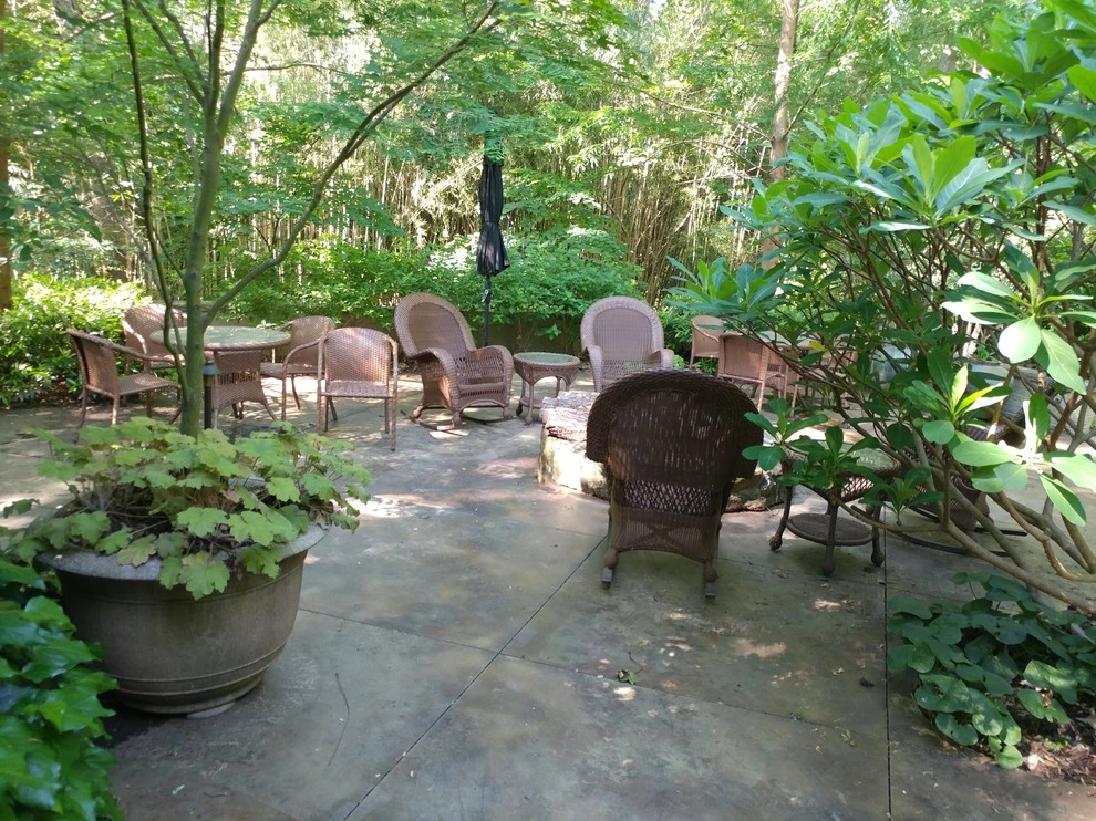 Intown Oasis by DabneyCollins - Photo 6