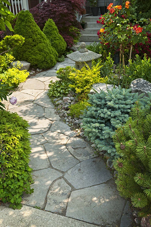 Shades Of Green - Photo 3