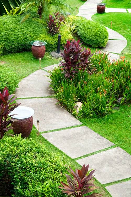Shades Of Green - Photo 5