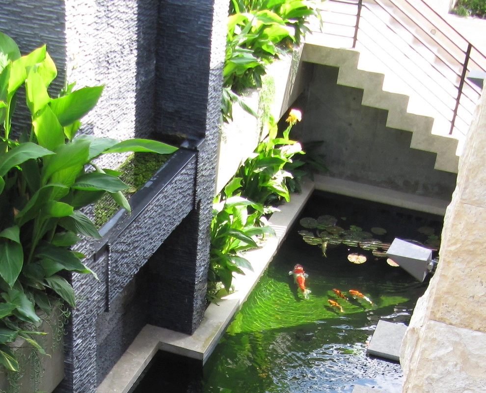 Soft Contemporary in Laguna Beach by Dale Waldo Landscape Architecture - Photo 4