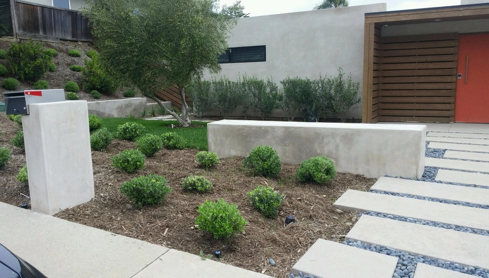 Mid Century Modern by Dale Waldo Landscape Architecture - Photo 4