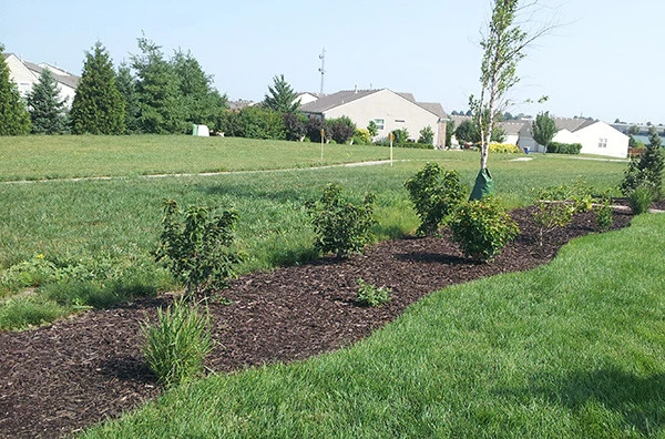 Wolfe Lawn & Landscape LLC - Photo 12