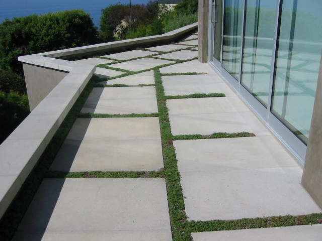 Simple Terrace Garden in Laguna Beach by Dale Waldo Landscape Architecture - Photo 5
