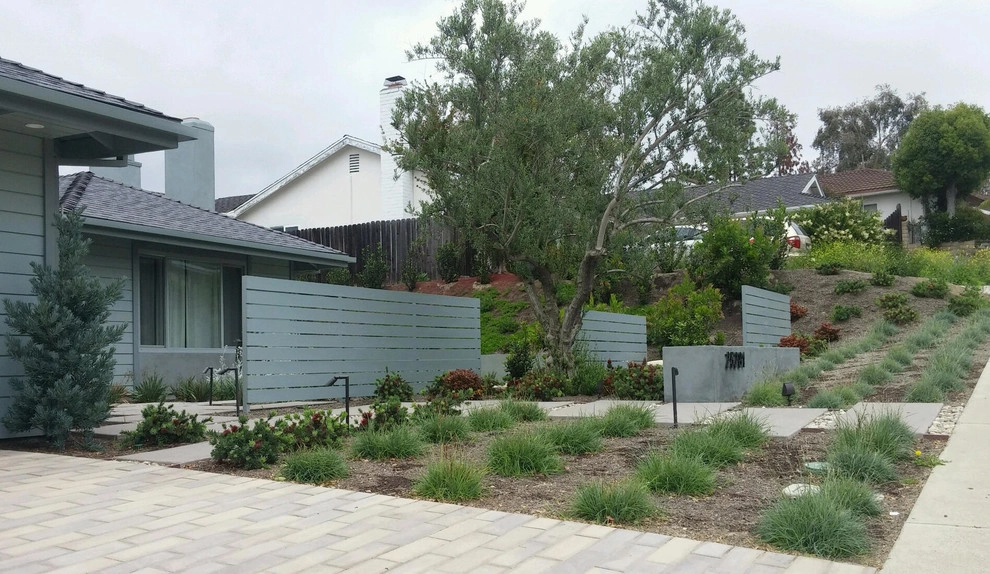 Front Yard Screening by Dale Waldo Landscape Architecture - Photo 4
