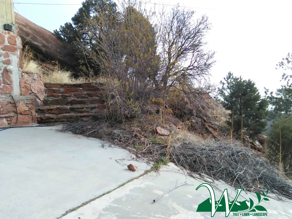 Overgrown to Rustic Chic by Wright Tree, Lawn & Landscape Care - Photo 2