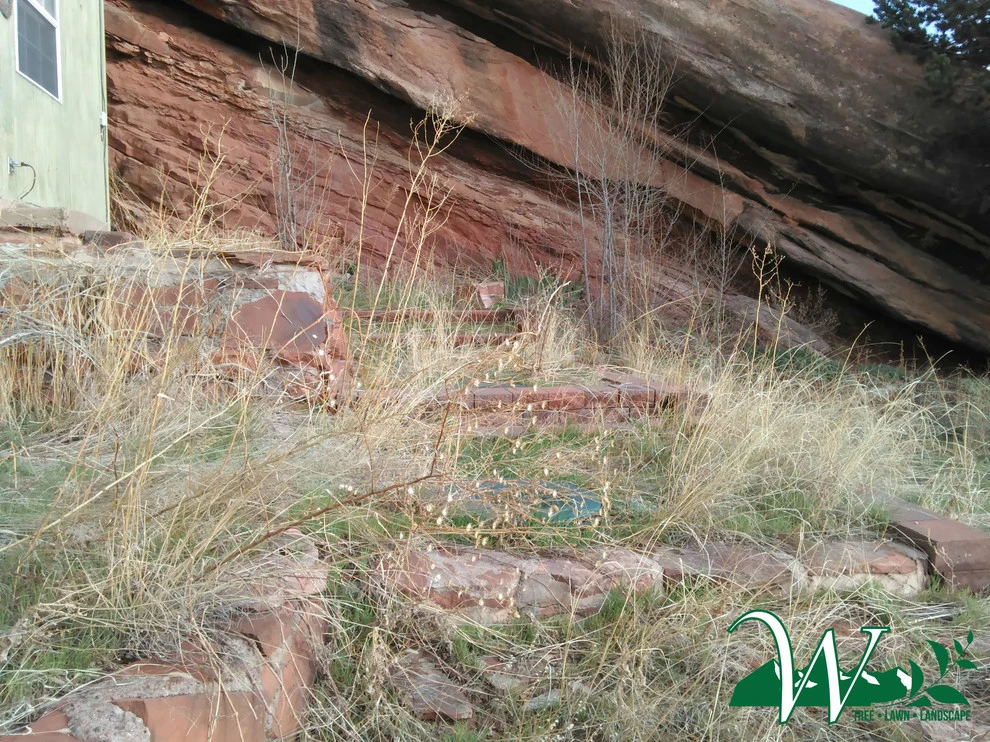 Overgrown to Rustic Chic by Wright Tree, Lawn & Landscape Care - Photo 3
