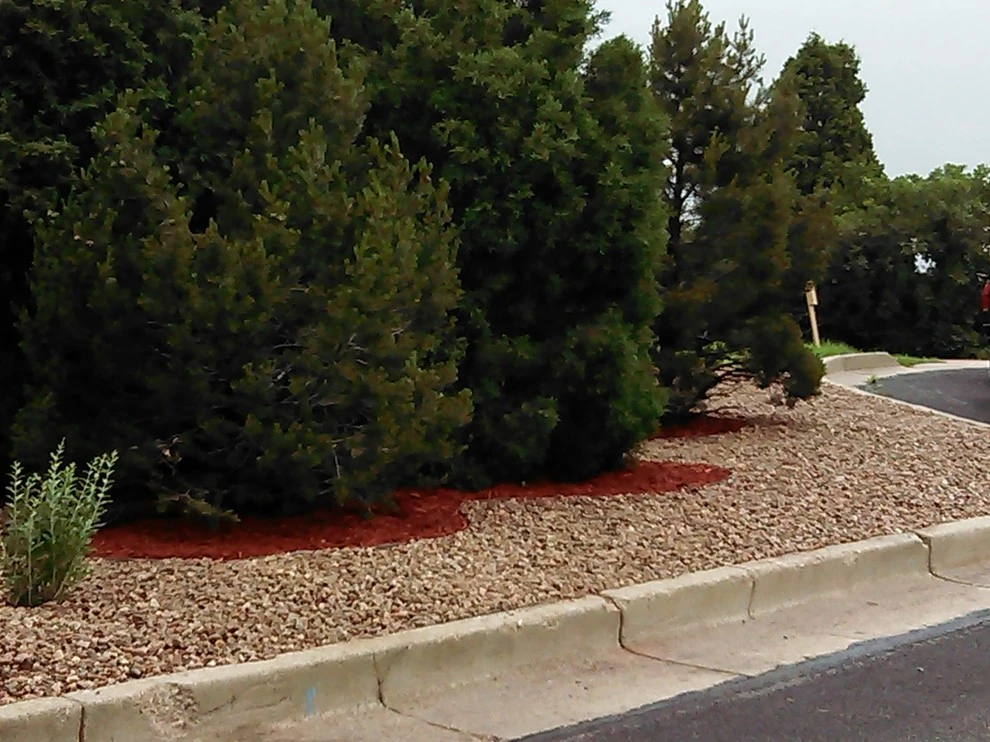 Wright Tree, Lawn & Landscape Care - Photo 9