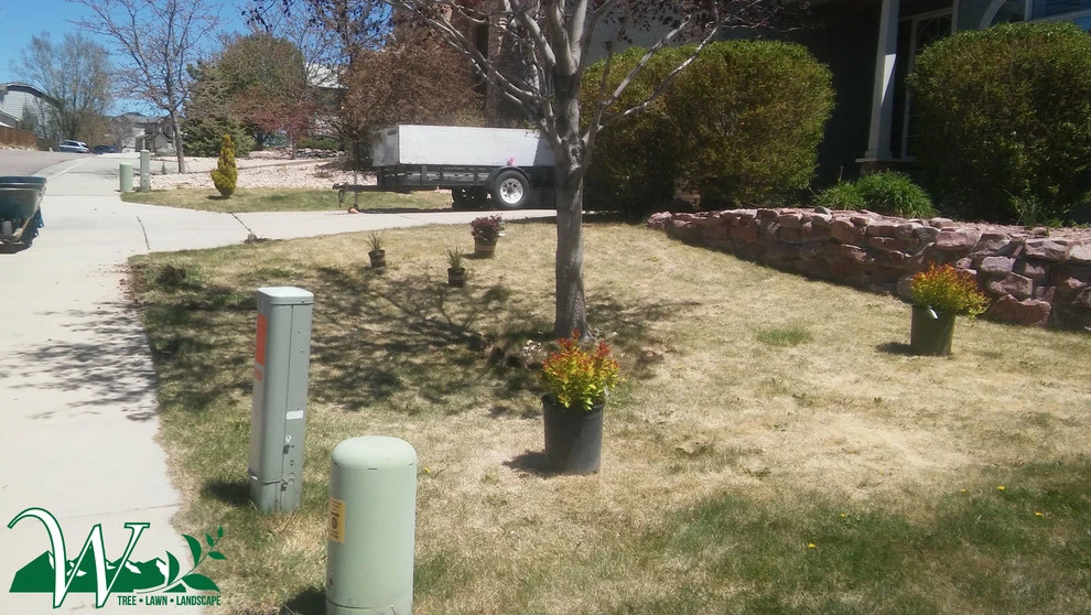 Xeriscapes, Rocks & Mulch, Pathways by Wright Tree, Lawn & Landscape Care - Photo 22