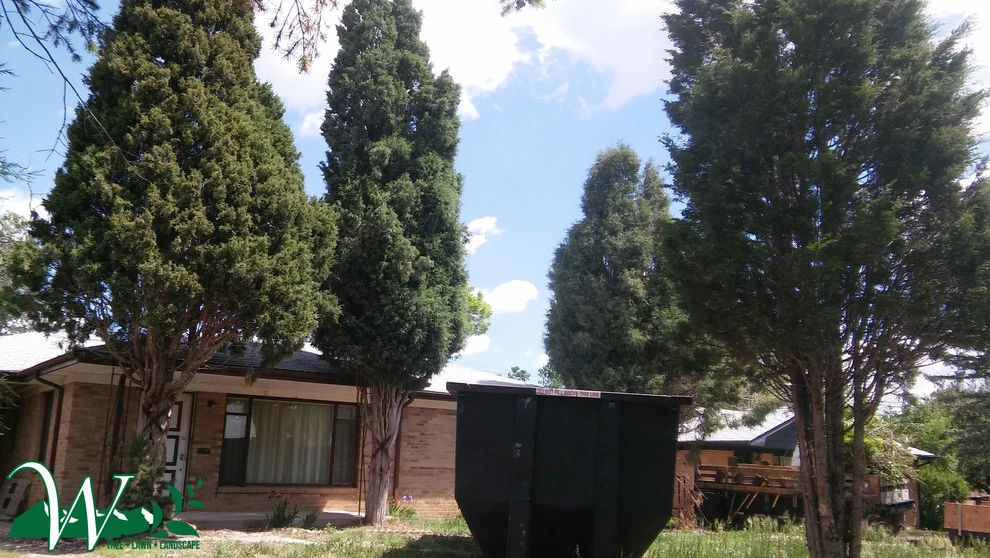 Tree Services by Wright Tree, Lawn & Landscape Care - Photo 16