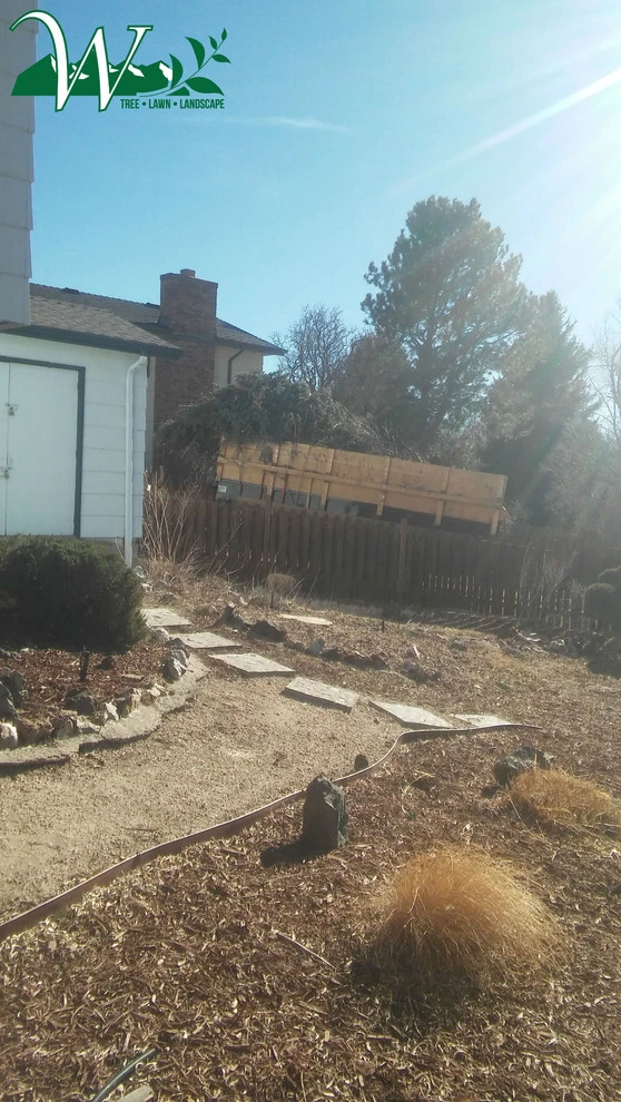 Tree Services by Wright Tree, Lawn & Landscape Care - Photo 25