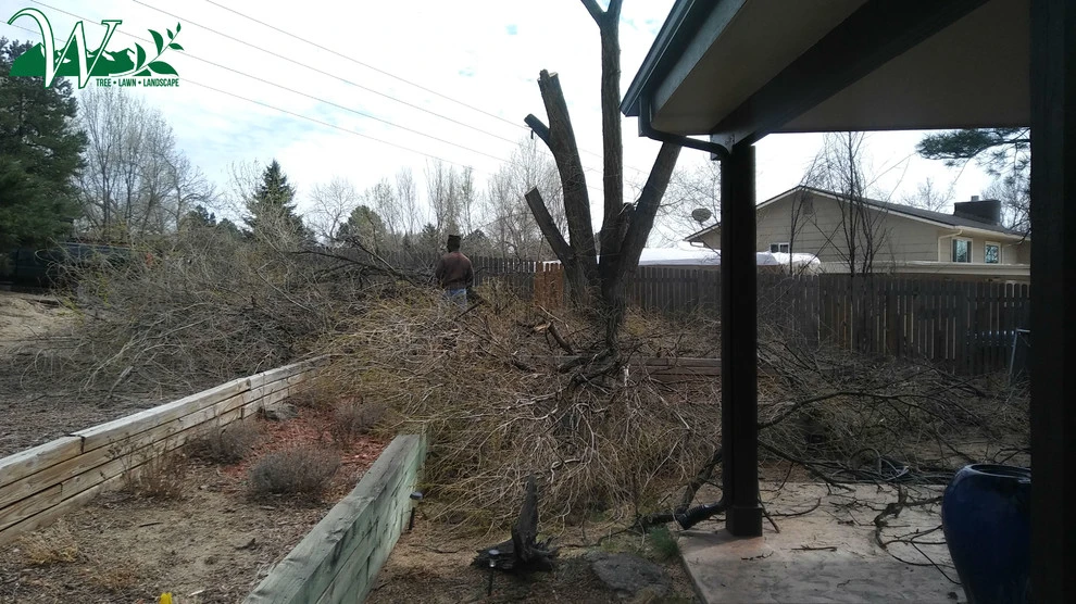Tree Services by Wright Tree, Lawn & Landscape Care - Photo 9