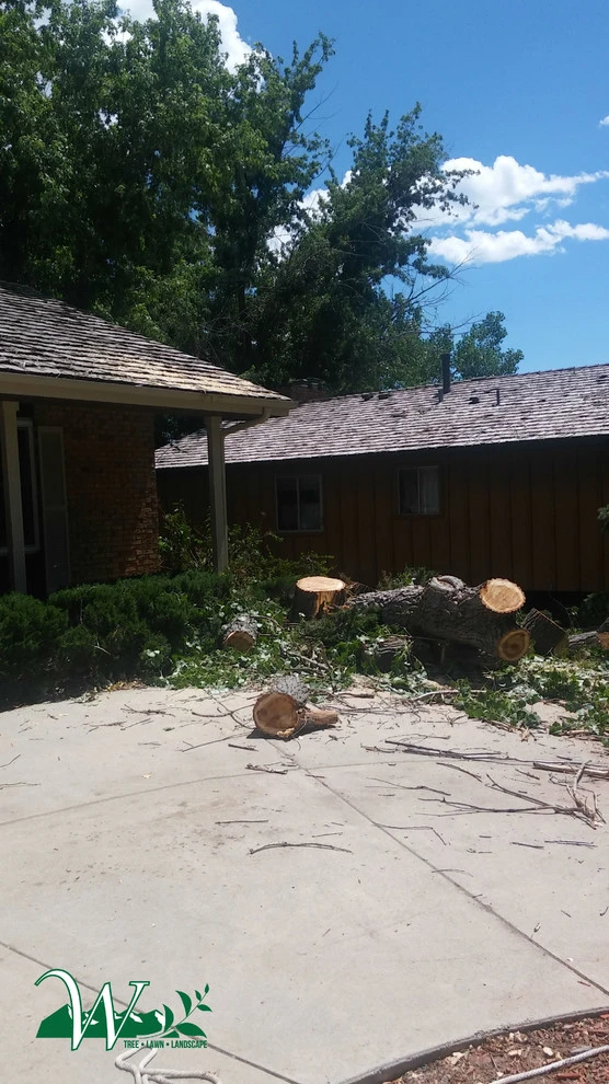 Tree Services by Wright Tree, Lawn & Landscape Care - Photo 11