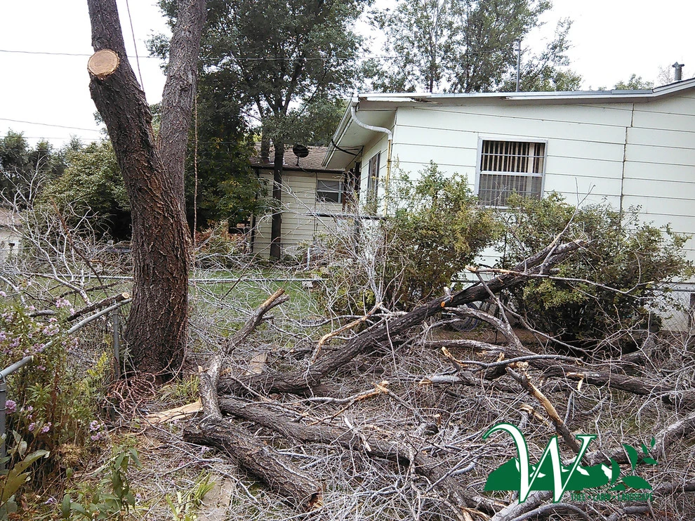 Tree Services by Wright Tree, Lawn & Landscape Care - Photo 22