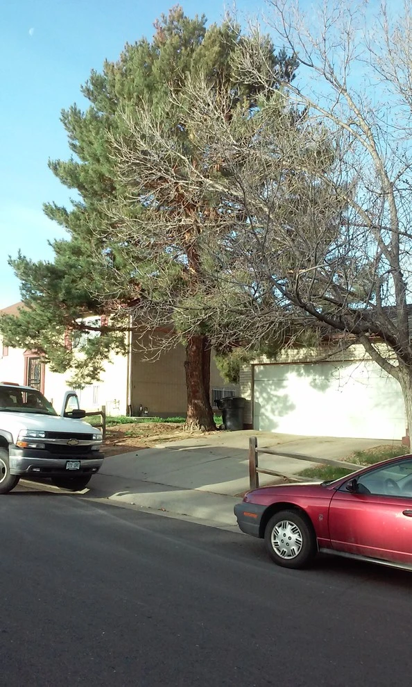 Wright Tree, Lawn & Landscape Care - Photo 13