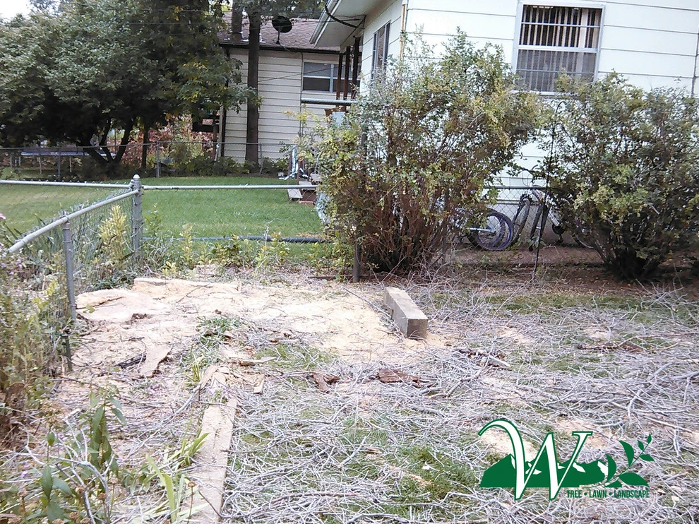Tree Services by Wright Tree, Lawn & Landscape Care - Photo 24