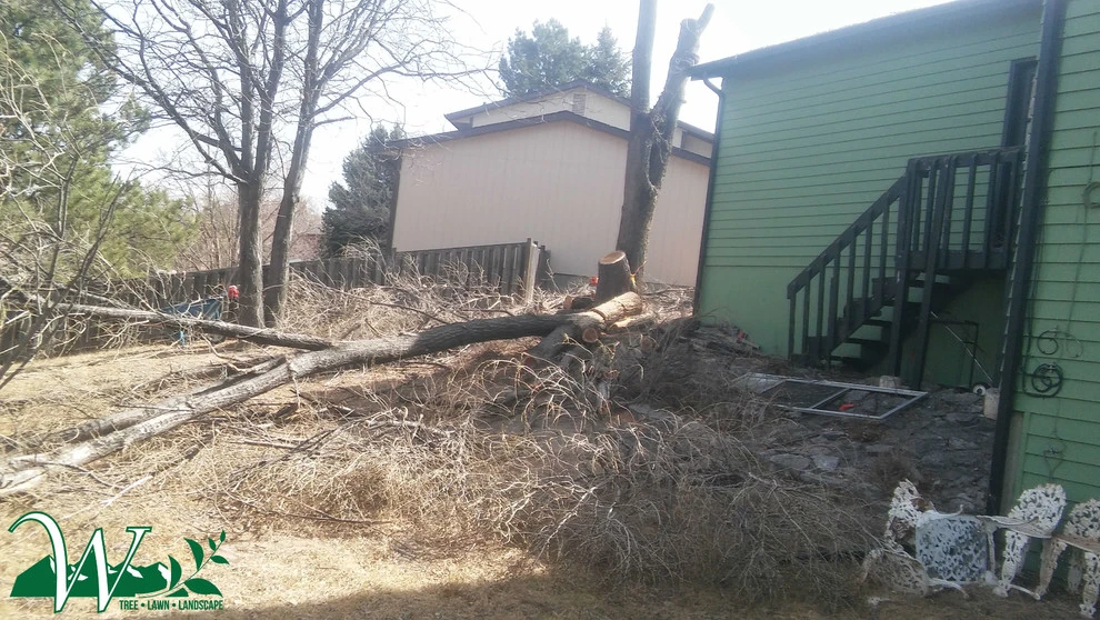 Tree Services by Wright Tree, Lawn & Landscape Care - Photo 28